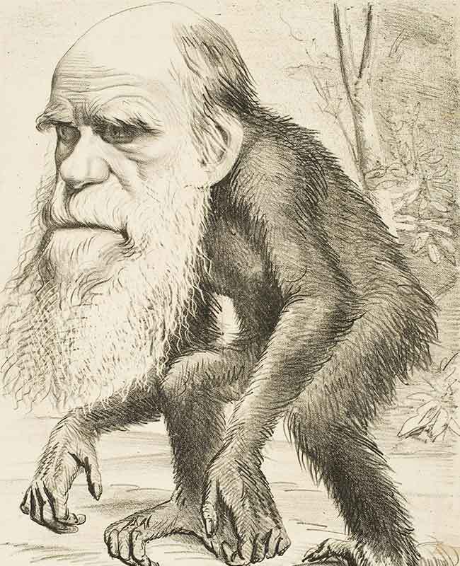evolution-fraud-missing-link