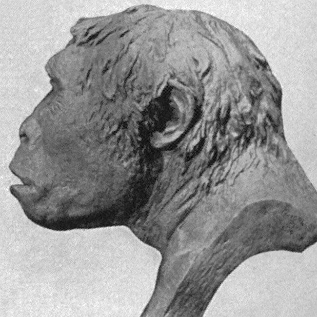 evolution-fraud-missing-link