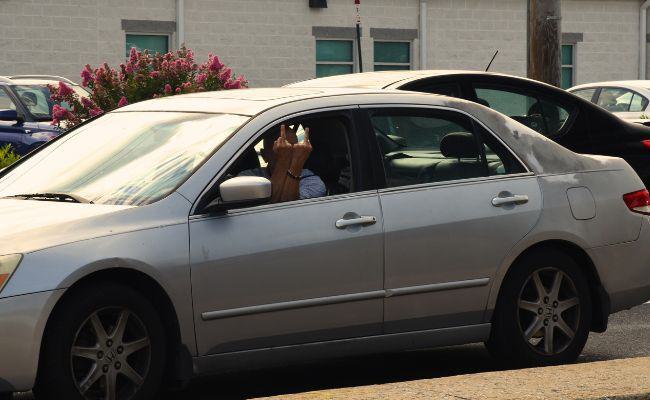 tfp-pro-life-braves-baltimore