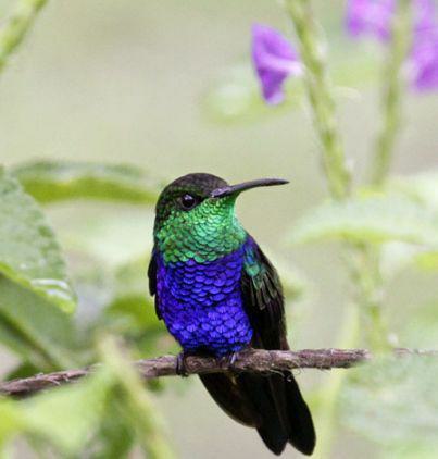 ambiences-customs-civilizations